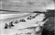 'TANK TRAPS ON STOCKTON BEACH'