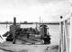 'Raymond Terrace punt with cattle on board'