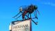 'The Big Mosquito'