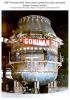 'Goninans'