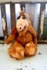 'Alf'