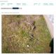 'h: Sandgate Burial'