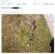 'h: Sandgate Burial'