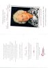 'h: Funeral Pamphlet Cover'