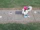 'h: Grave gungahlin'