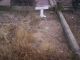 'h: Ethel May ROSS_MILLS grave'