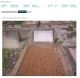 'h: Sandgate Grave'