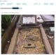 'h: Sandgate Grave'